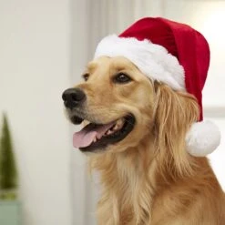Frisco Holiday Dog & Cat Santa Hat, 1 Count -Cat Supplies 160054 PT4. AC SS1800 V1637650626