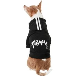 Frisco Püppy Dog Athletic Hoodie -Cat Supplies 160342 PT2. AC SS1800 V1637689590