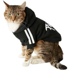 Frisco Püppy Dog Athletic Hoodie -Cat Supplies 160342 PT3. AC SS1800 V1637716325