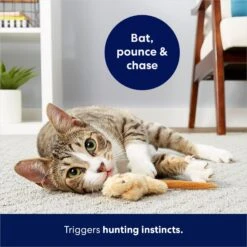 Frisco Skinny Mouse Plush Cat Toy With Catnip 10 Frisco Skinny Mouse Plush Cat Toy With Catnip -Cat Supplies 161268 PT5. AC SS1800 V1686578718