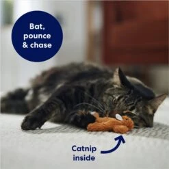 Frisco Squirrel Plush Cat Toy With Refillable Catnip -Cat Supplies 161271 PT3. AC SS1800 V1678723897