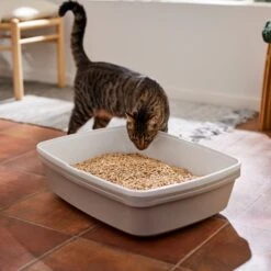 Frisco Pine Pellet Unscented Non-Clumping Wood Cat Litter 13 Frisco Pine Pellet Unscented Non-Clumping Wood Cat Litter -Cat Supplies 161458 PT4. AC SS1800 V1659023182