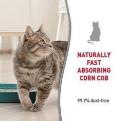 Nature's Miracle Premium Scented Clumping Corn Cat Litter -Cat Supplies 164687 PT6. AC SS1800 V1701114797