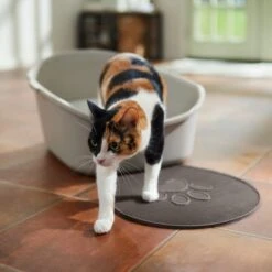 Frisco Shaped Cat Litter Mat 8 Frisco Shaped Cat Litter Mat -Cat Supplies 166306 PT3. AC SS1800 V1675279990