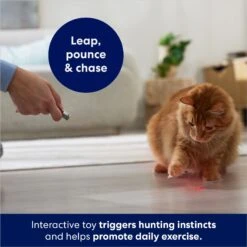 Frisco 2-in-1 Laser & LED Light Laser Cat Toy 9 Frisco 2-in-1 Laser & LED Light Laser Cat Toy -Cat Supplies 166309 PT3. AC SS1800 V1686579688