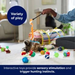 Frisco Plush, Teaser, Ball & Tunnel Variety Pack Cat Toy With Catnip 12 Frisco Plush, Teaser, Ball & Tunnel Variety Pack Cat Toy With Catnip -Cat Supplies 169688 PT5. AC SS1800 V1691784246