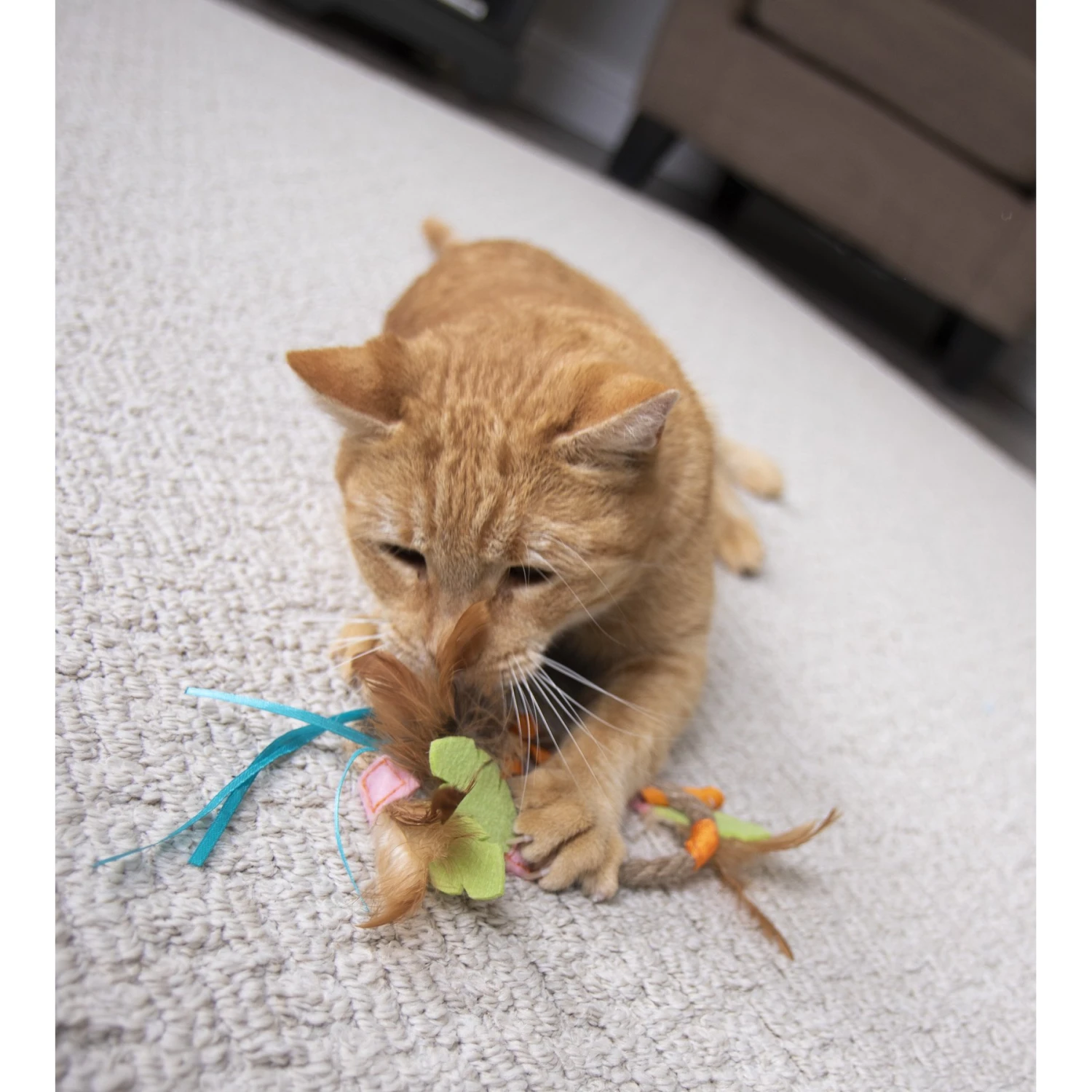 SmartyKat Dream Dangler Cat Toy 7 SmartyKat Dream Dangler Cat Toy - Image 5