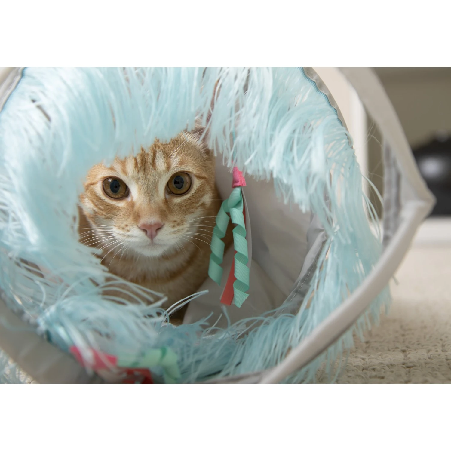 SmartyKat Fringe Frenzy Cat Activity Tunnel 8 SmartyKat Fringe Frenzy Cat Activity Tunnel - Image 6