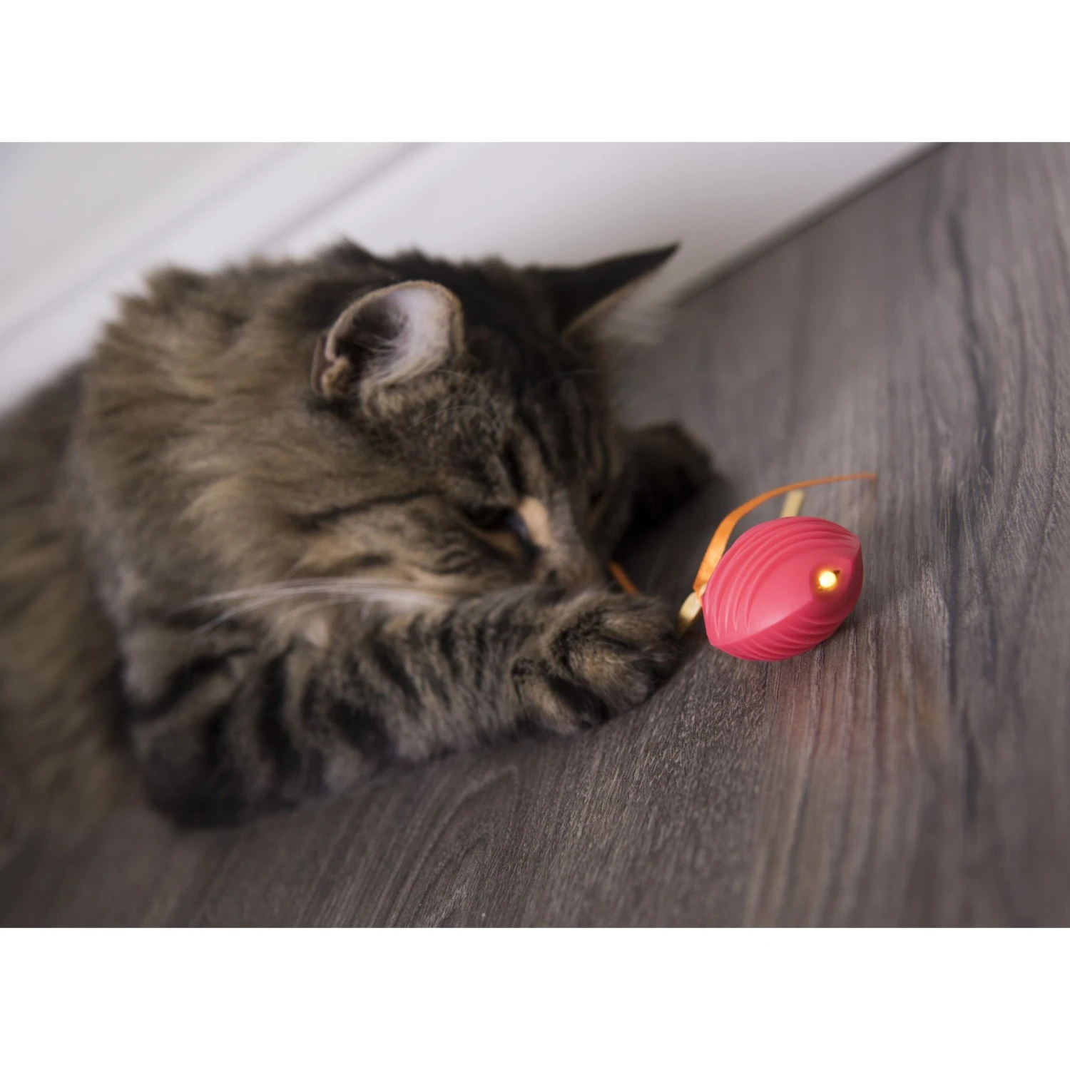 SmartyKat Crazy Cruiser Rumble Bug Electronic Cat Toy 4 SmartyKat Crazy Cruiser Rumble Bug Electronic Cat Toy - Image 2