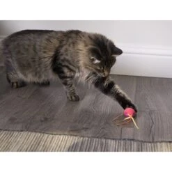 SmartyKat Crazy Cruiser Rumble Bug Electronic Cat Toy 10 SmartyKat Crazy Cruiser Rumble Bug Electronic Cat Toy -Cat Supplies 173634 PT2. AC SS1800 V1599754701