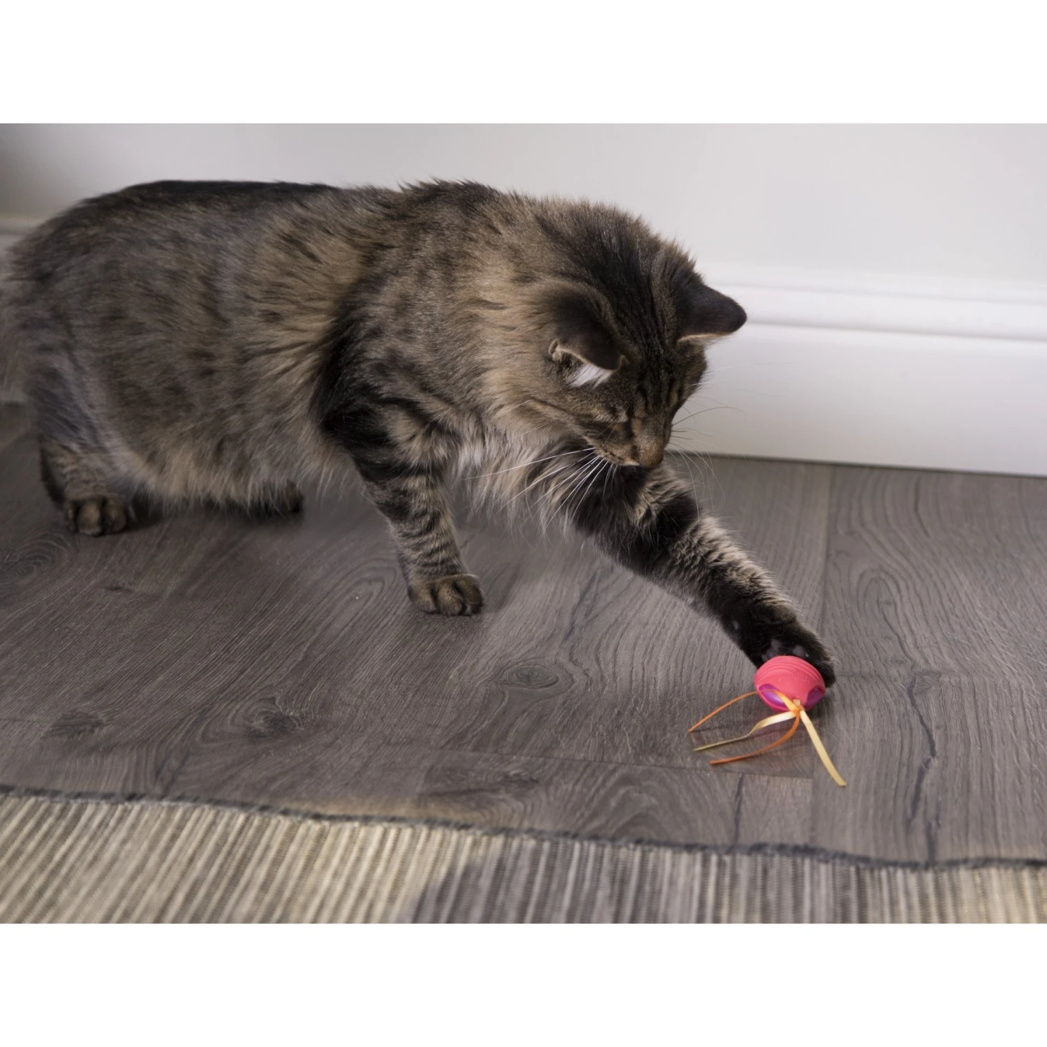 SmartyKat Crazy Cruiser Rumble Bug Electronic Cat Toy 5 SmartyKat Crazy Cruiser Rumble Bug Electronic Cat Toy - Image 3