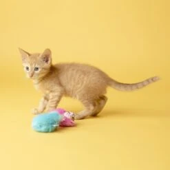 Fat Cat Classic Fluff Bunnies Cat Toy, Color Varies -Cat Supplies 174931 PT2. AC SS1800 V1602304880