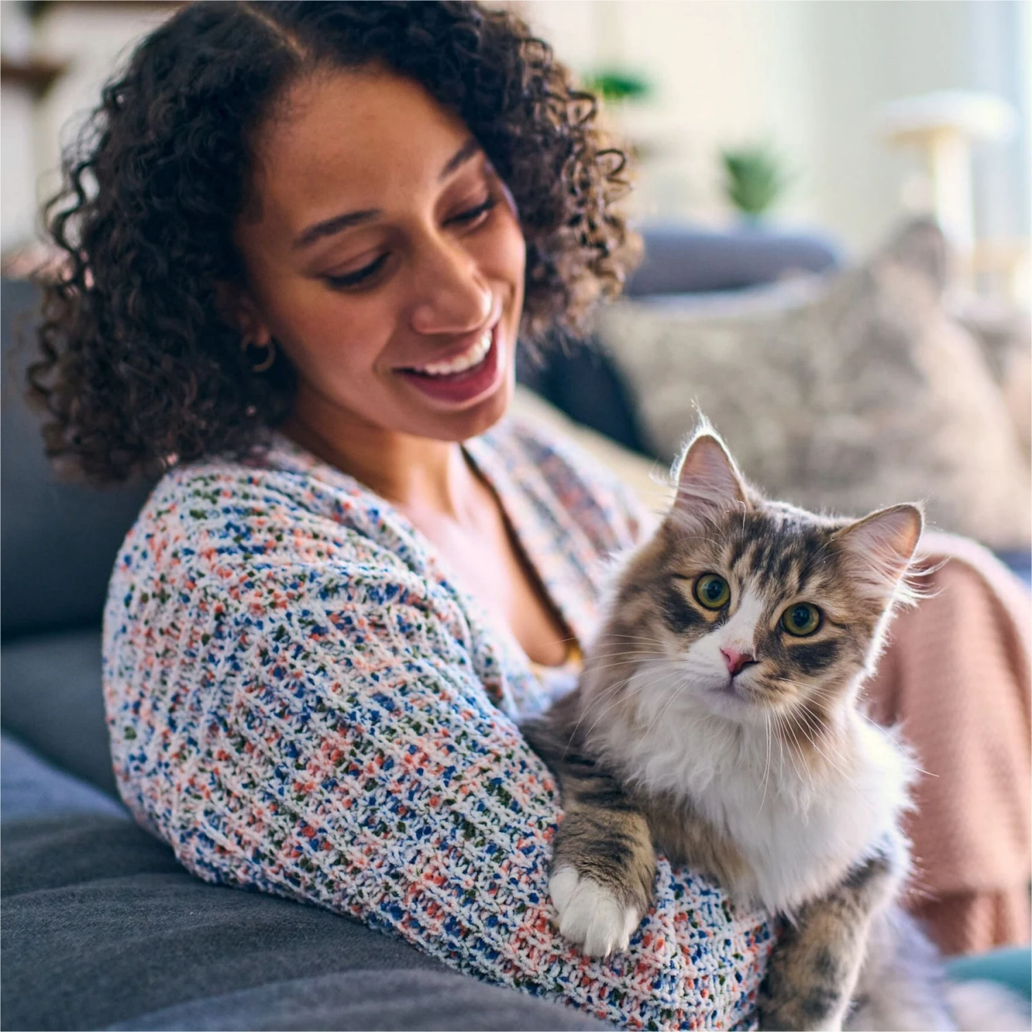 Tidy Max Lightweight Glade Clear Springs Scented Lightweight Clay Cat Litter 6 Tidy Max Lightweight Glade Clear Springs Scented Lightweight Clay Cat Litter - Image 4