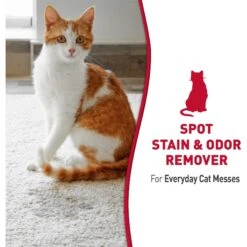 Nature's Miracle Cat Enzymatic Stain Remover & Odor Eliminator Refill, 1-gal Bottle 18 Nature's Miracle Cat Enzymatic Stain Remover & Odor Eliminator Refill, 1-gal Bottle -Cat Supplies 178085 PT7. AC SS1800 V1701116413