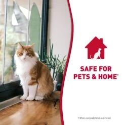 Nature's Miracle Cat Enzymatic Stain Remover & Odor Eliminator Refill, 1-gal Bottle 19 Nature's Miracle Cat Enzymatic Stain Remover & Odor Eliminator Refill, 1-gal Bottle -Cat Supplies 178085 PT8. AC SS1800 V1701116362