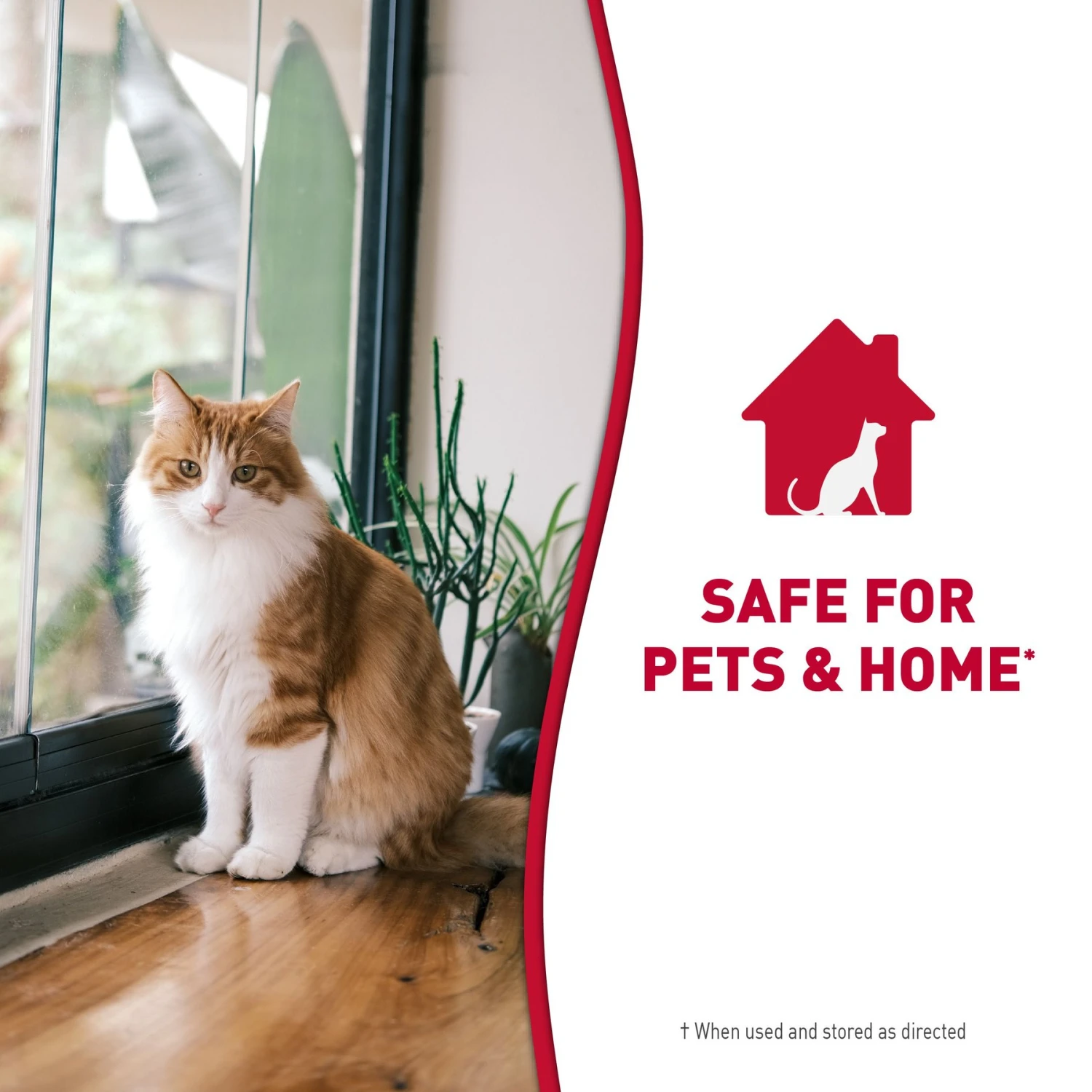 Nature's Miracle Cat Enzymatic Stain Remover & Odor Eliminator Refill, 1-gal Bottle 11 Nature's Miracle Cat Enzymatic Stain Remover & Odor Eliminator Refill, 1-gal Bottle - Image 9