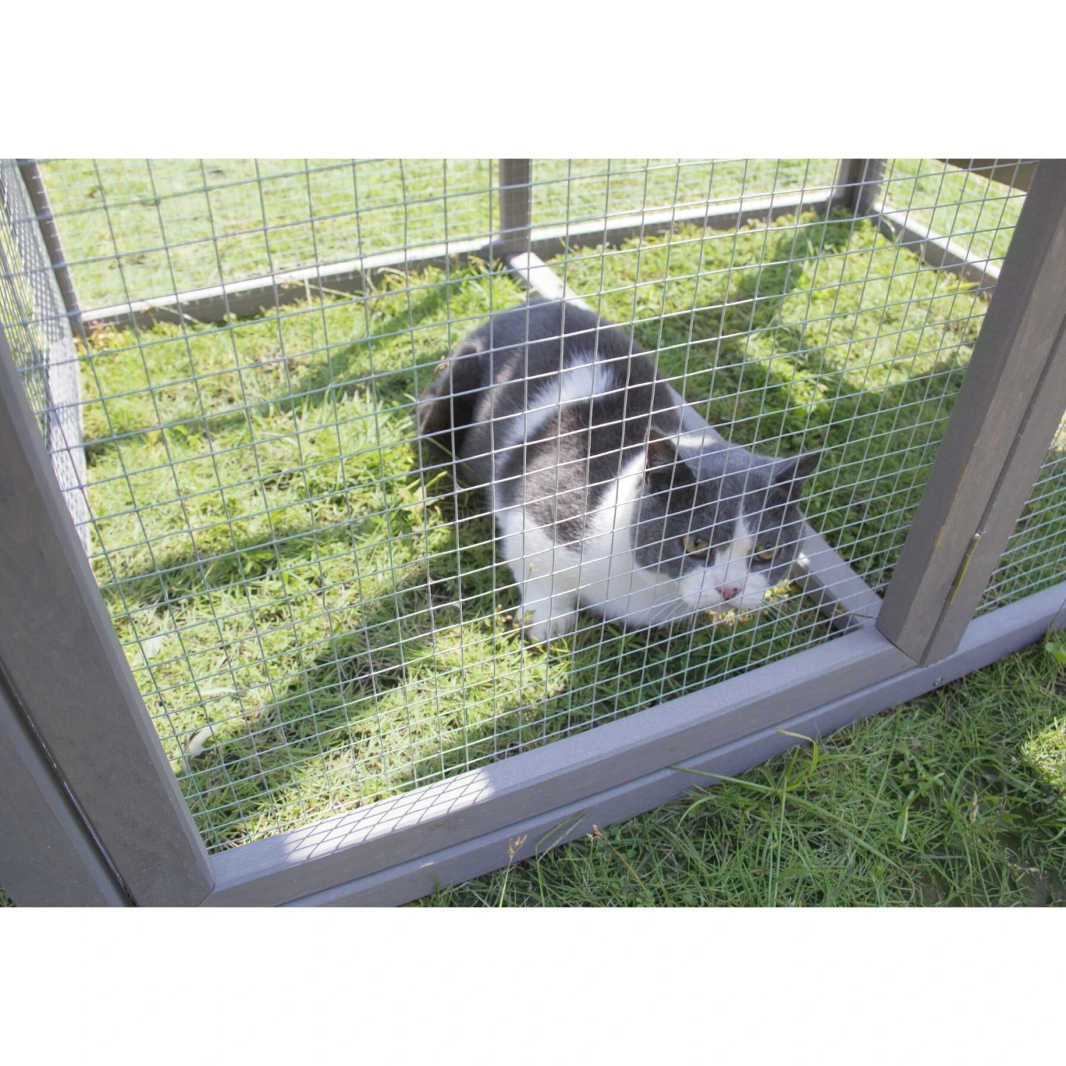 ZooVilla Cat Climber 11 ZooVilla Cat Climber - Image 9