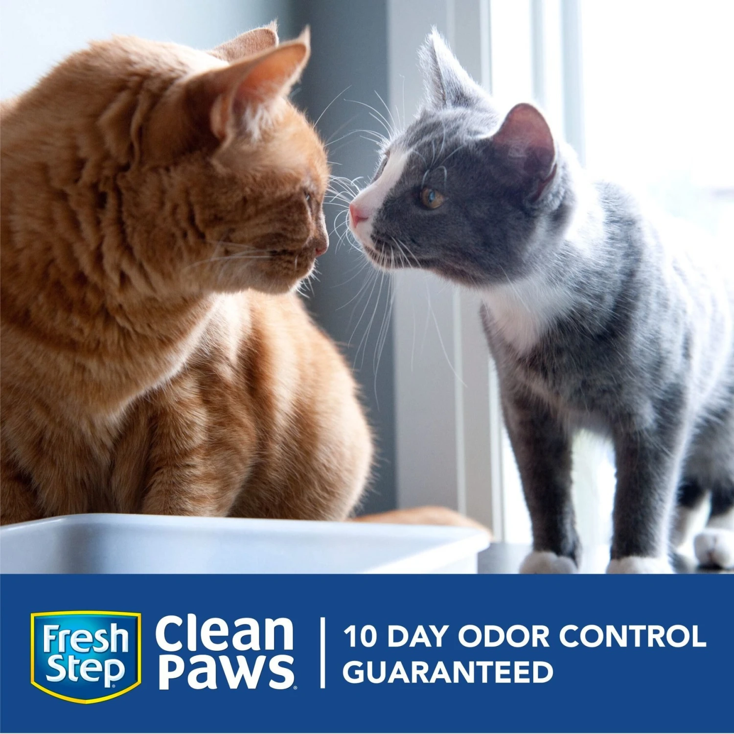 Fresh Step Clean Paws Simply Unscented Clumping Clay Cat Litter 4 Fresh Step Clean Paws Simply Unscented Clumping Clay Cat Litter - Image 2