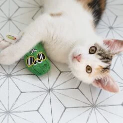 Mad Cat Cool Cucumber Catnip & Silvervine Cat Toy 9 Mad Cat Cool Cucumber Catnip & Silvervine Cat Toy -Cat Supplies 181814 PT5. AC SS1800 V1637641598