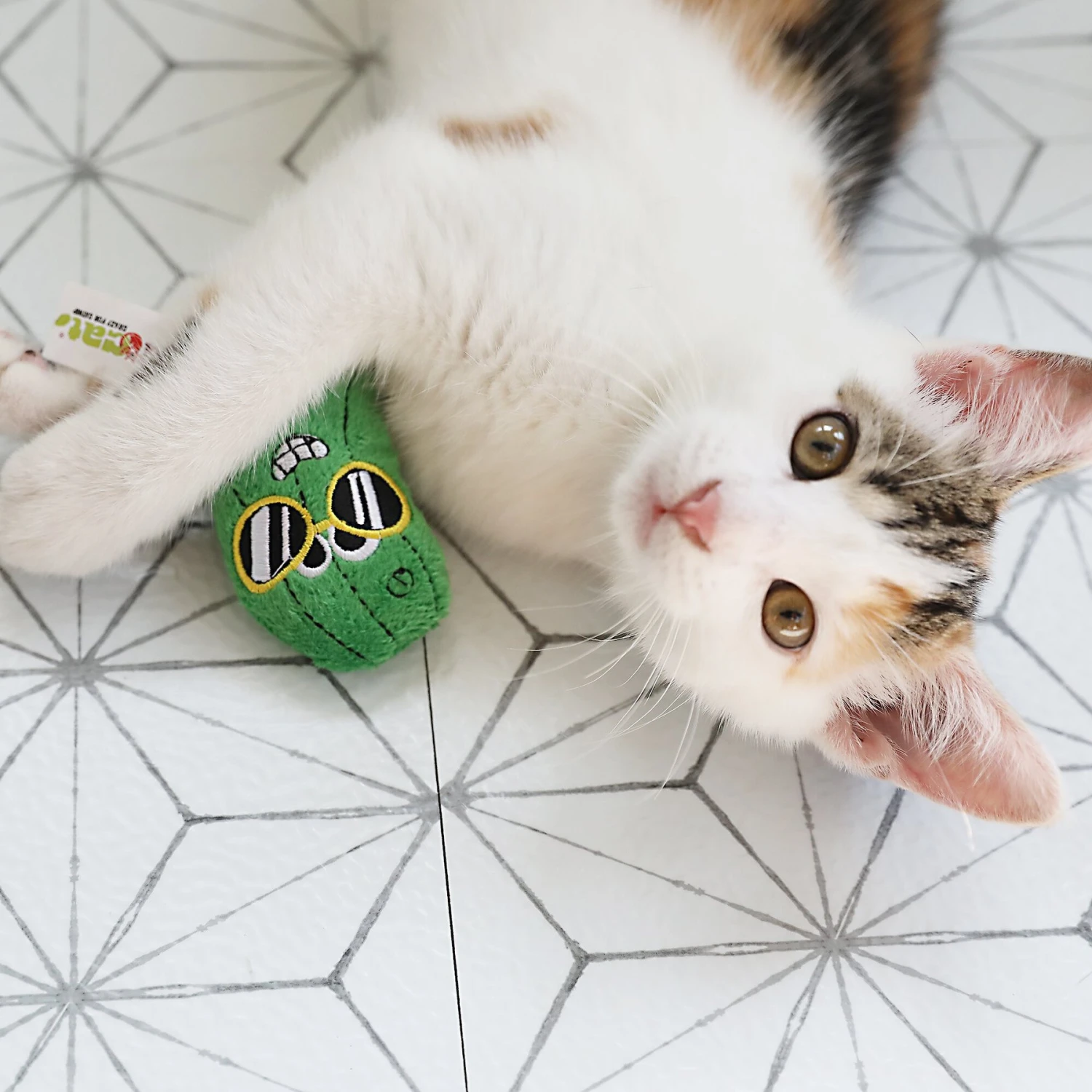 Mad Cat Cool Cucumber Catnip & Silvervine Cat Toy 6 Mad Cat Cool Cucumber Catnip & Silvervine Cat Toy - Image 4