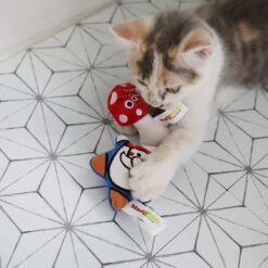 Mad Cat Gnome Sweet Gnome Catnip & Silvervine Cat Toy -Cat Supplies 181818 PT4. AC SS1800 V1634833911