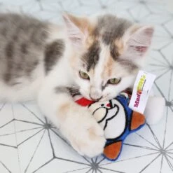 Mad Cat Gnome Sweet Gnome Catnip & Silvervine Cat Toy -Cat Supplies 181818 PT5. AC SS1800 V1634833922