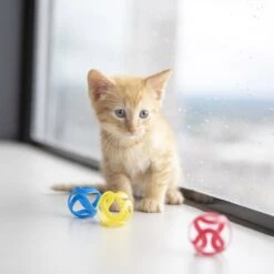 JW Pet Cat Crazies Cat Toy 7 JW Pet Cat Crazies Cat Toy -Cat Supplies 182739 PT2. AC SS1800 V1602327670