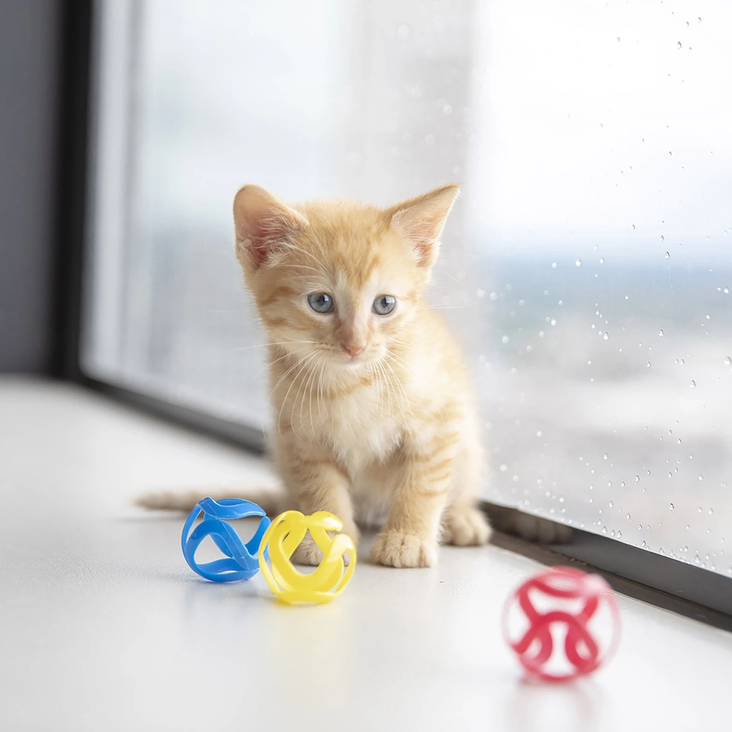 JW Pet Cat Crazies Cat Toy 5 JW Pet Cat Crazies Cat Toy - Image 3