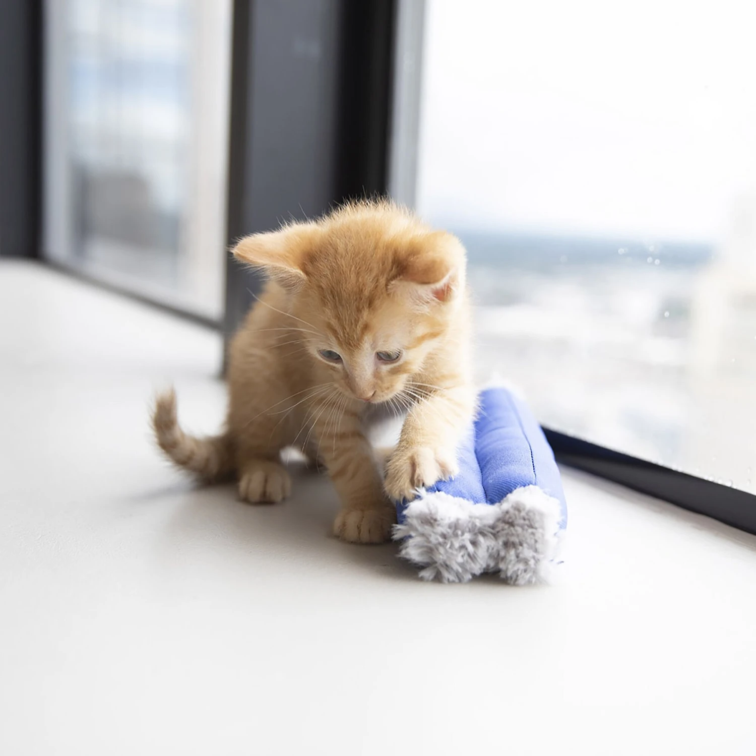 JW Pet Kitty Kickz Cat Toy 5 JW Pet Kitty Kickz Cat Toy - Image 3