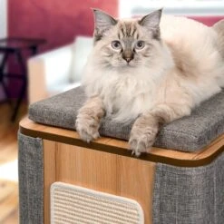 Vesper Cubo Tower 34.25-in Modern Cat Condo -Cat Supplies 182899 PT3. AC SS1800 V1628004780