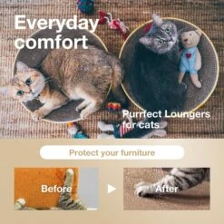 Necoichi Cozy Cat Scratcher Bowl Toy 13 Necoichi Cozy Cat Scratcher Bowl Toy -Cat Supplies 183517 PT2. AC SS1800 V1702938888