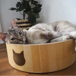 Necoichi Cozy Cat Scratcher Bowl Toy 18 Necoichi Cozy Cat Scratcher Bowl Toy -Cat Supplies 183517 PT7. AC SS1800 V1702938866