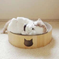 Necoichi Cozy Cat Scratcher Bowl Toy 19 Necoichi Cozy Cat Scratcher Bowl Toy -Cat Supplies 183517 PT8. AC SS1800 V1702938859