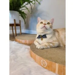 Necoichi Cozy Cat Scratcher Bowl Replacement Pad 16 Necoichi Cozy Cat Scratcher Bowl Replacement Pad -Cat Supplies 183519 PT5. AC SS1800 V1647460001