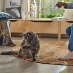 Ethical Pet Leather Strand Teaser Wand Cat Toy, Color Varies -Cat Supplies 189288 PT4. AC SS1800 V1682711057