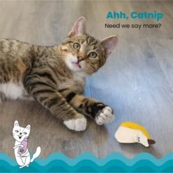 Catstages Dental Banana Cat Chew Toy With Catnip 10 Catstages Dental Banana Cat Chew Toy With Catnip -Cat Supplies 190721 PT2. AC SS1800 V1631682722