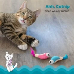 Catstages Dental Shrimpies Cat Chew Toy With Catnip, 2 Count 11 Catstages Dental Shrimpies Cat Chew Toy With Catnip, 2 Count -Cat Supplies 190723 PT2. AC SS1800 V1636501621