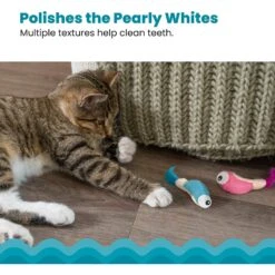 Catstages Dental Shrimpies Cat Chew Toy With Catnip, 2 Count 12 Catstages Dental Shrimpies Cat Chew Toy With Catnip, 2 Count -Cat Supplies 190723 PT3. AC SS1800 V1636500155