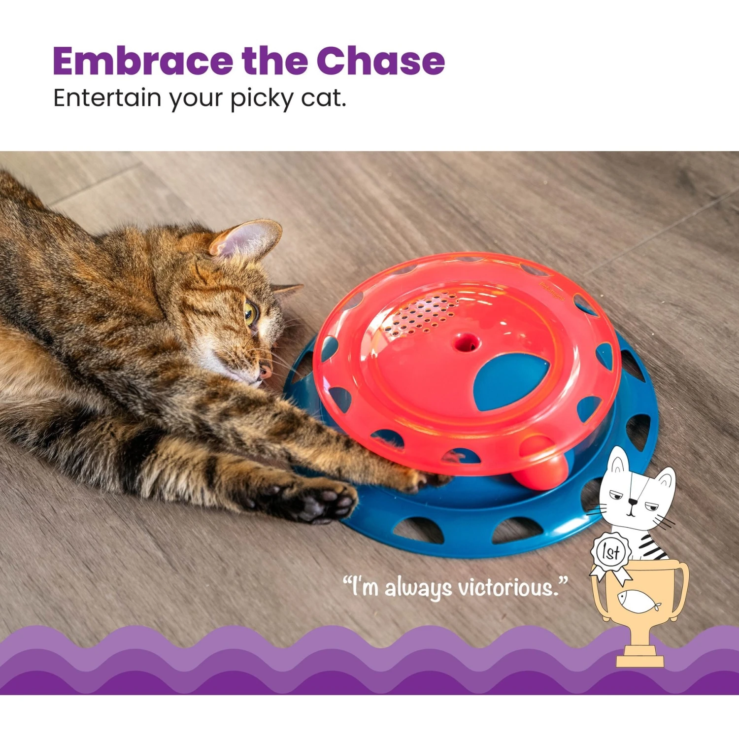Catstages Chase Track Cat Toy With Catnip 4 Catstages Chase Track Cat Toy With Catnip - Image 2