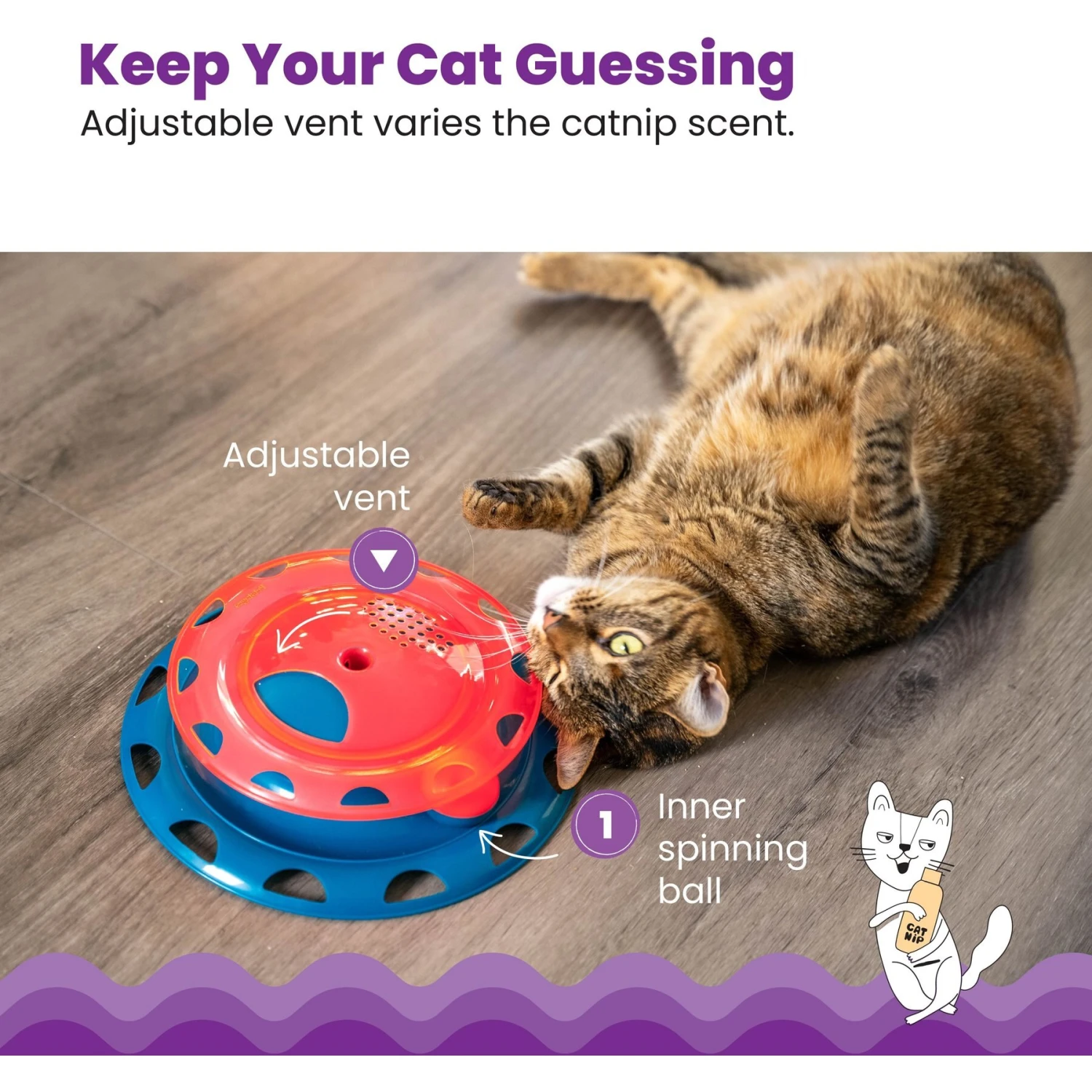 Catstages Chase Track Cat Toy With Catnip 6 Catstages Chase Track Cat Toy With Catnip - Image 4