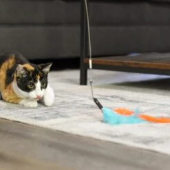 Turbo Tail Cat Toy, Tail Teaser 9 Turbo Tail Cat Toy, Tail Teaser -Cat Supplies 202233 PT3. AC SS1800 V1677957893