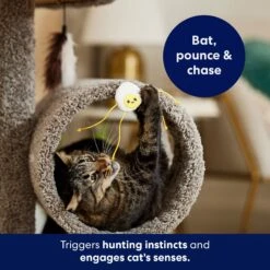 Frisco Plush Dangly Egg Buddy Cat Toy With Catnip -Cat Supplies 213844 PT5. AC SS1800 V1691784029