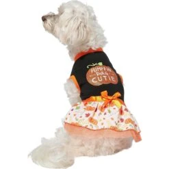 Frisco Pumpkin Patch Cutie Dog & Cat Dress 11 Frisco Pumpkin Patch Cutie Dog & Cat Dress -Cat Supplies 215784 PT3. AC SS1800 V1632430875