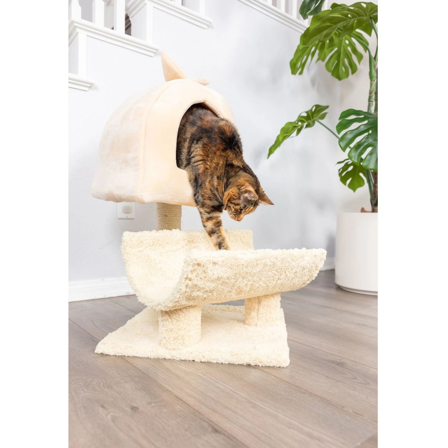 Armarkat 31-in Cat Scratching Post & Condo Cat Tree, Goldenrod 6 Armarkat 31-in Cat Scratching Post & Condo Cat Tree, Goldenrod - Image 4