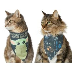 STAR WARS THE MANDALORIAN GROGU "Cutest Bounty" Reversible Dog & Cat Bandana 12 STAR WARS THE MANDALORIAN GROGU "Cutest Bounty" Reversible Dog & Cat Bandana -Cat Supplies 220290 PT2. AC SS1800 V1646443013