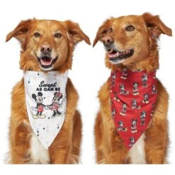 Disney Mickey Mouse & Minnie Mouse "Sweet As Can Be" Reversible Dog & Cat Bandana -Cat Supplies 220293 PT4. AC SS1800 V1637667456