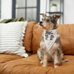 Disney Mickey Mouse & Minnie Mouse "Sweet As Can Be" Reversible Dog & Cat Bandana -Cat Supplies 220293 PT5. AC SS1800 V1637707356