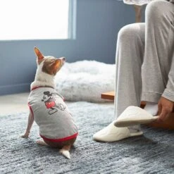 Disney Mickey Mouse & Minnie Mouse "Sweet As Can Be" Reversible Dog & Cat Bandana -Cat Supplies 220293 PT7. AC SS1800 V1633126030