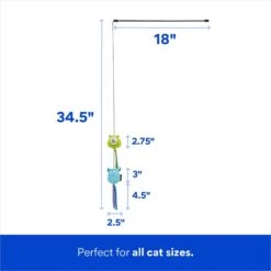 Pixar Mike Wazowski & Sulley Teaser Cat Toy With Catnip -Cat Supplies 221049 PT1. AC SS1800 V1698956887