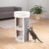 TRIXIE 2-Story Mexia Tower Cat Condo 2 TRIXIE 2-Story Mexia Tower Cat Condo -Cat Supplies 221564 main. AC SS1800 V1582054983
